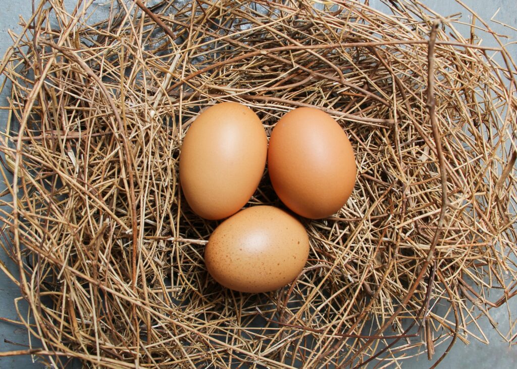 Retirement Account Contributions Nest Egg